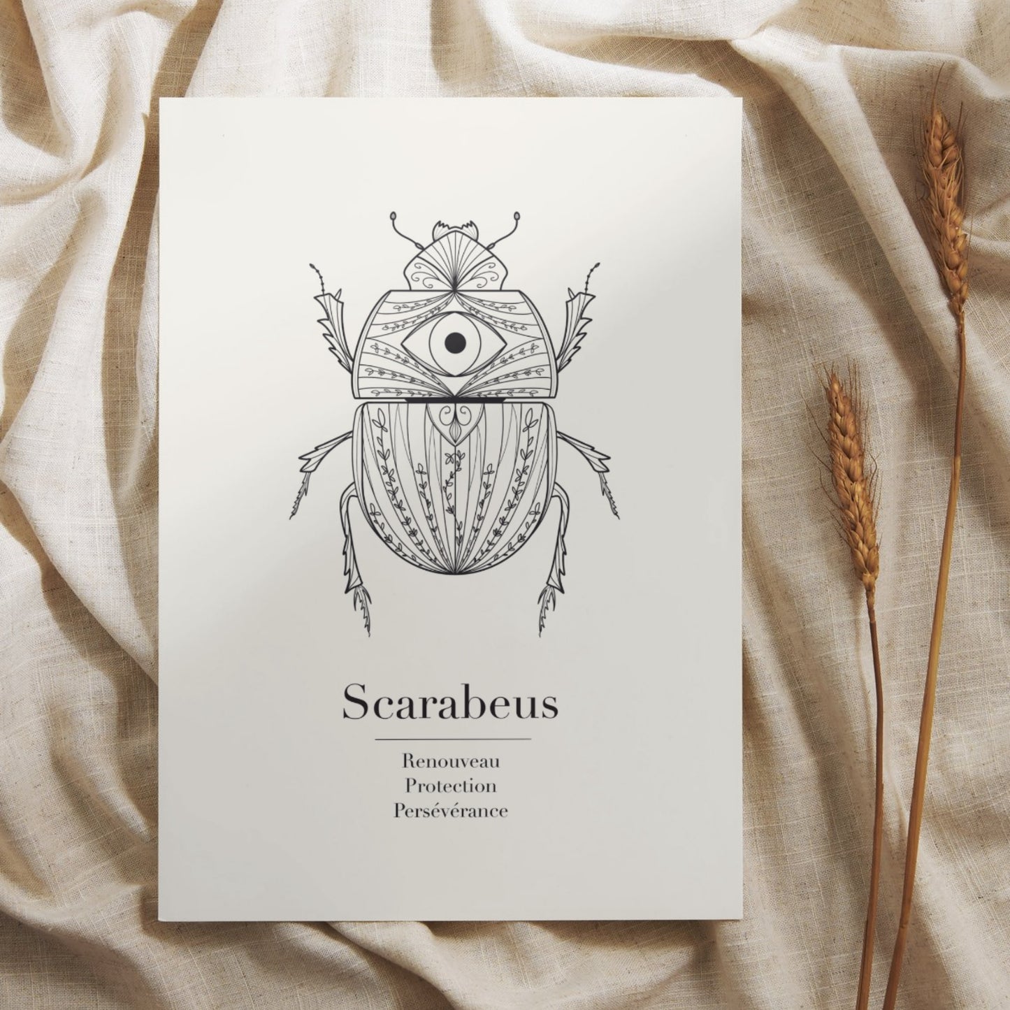 Le Scarabée - Carte