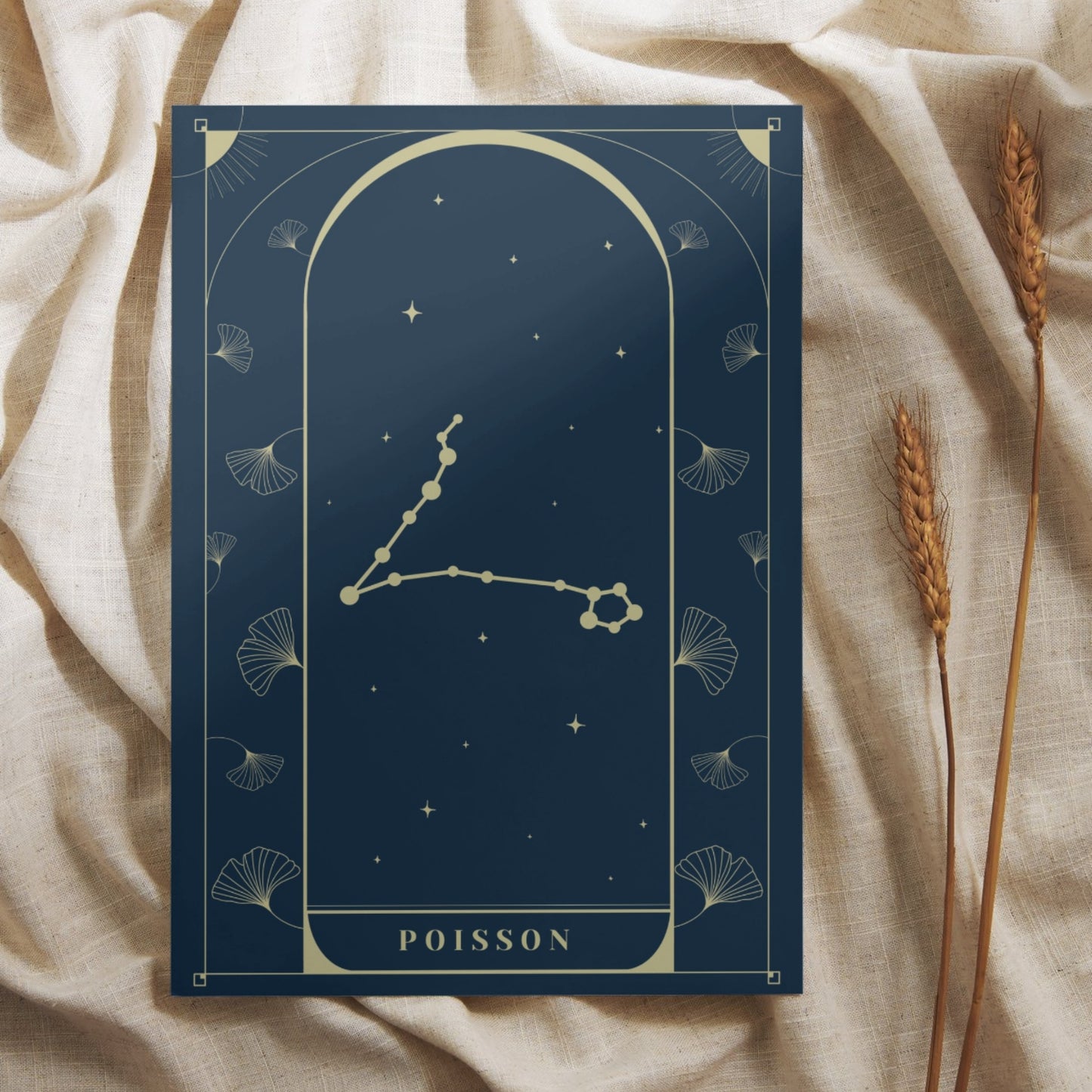 Poisson Constellation - Carte