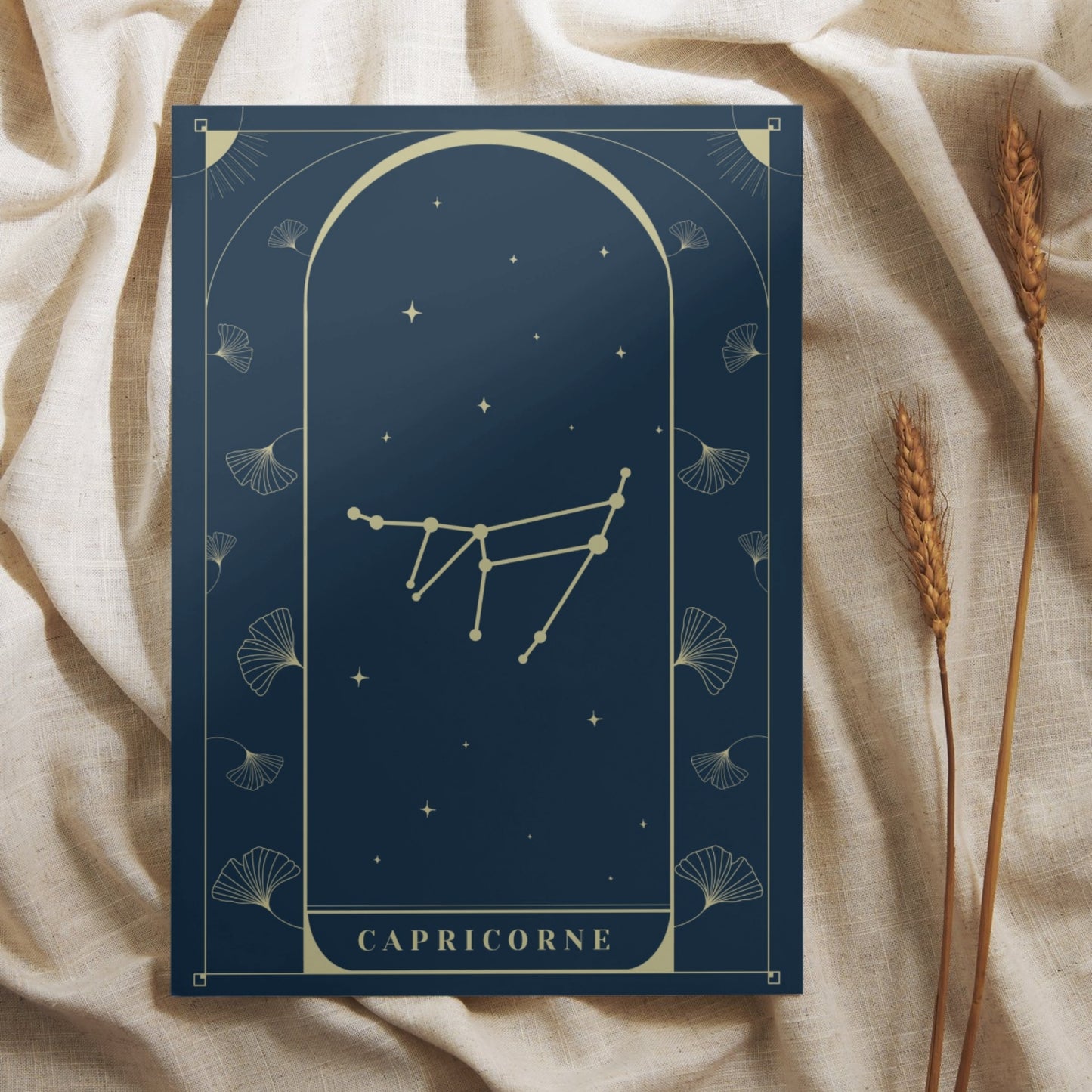 Capricorne Constellation - Carte